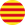 Language Flag